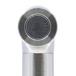 Transitional Side Spray with Guide in Brushed Nickel