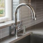Transitional Side Spray with Guide in Brushed Nickel