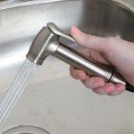 Transitional Side Spray with Guide in Brushed Nickel