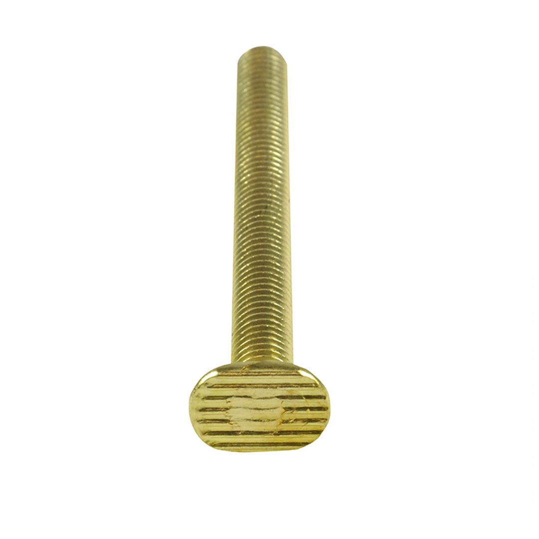 5/16 in. x 31/2 in. Closet Bolts with Nuts and Washers (2Pack) Danco