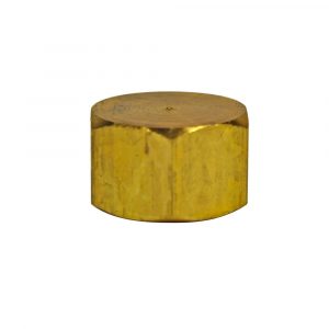 3/8 in. FIP Pipe Cap 3/8 in. FIP Pipe Cap