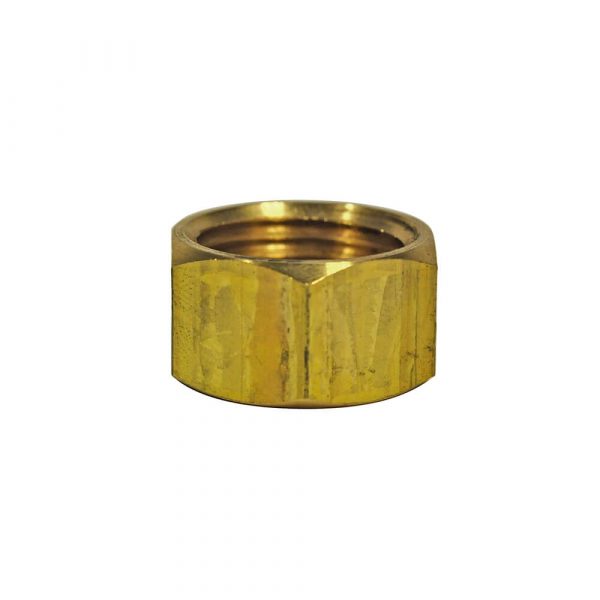 1/2 in. FIP Pipe Cap