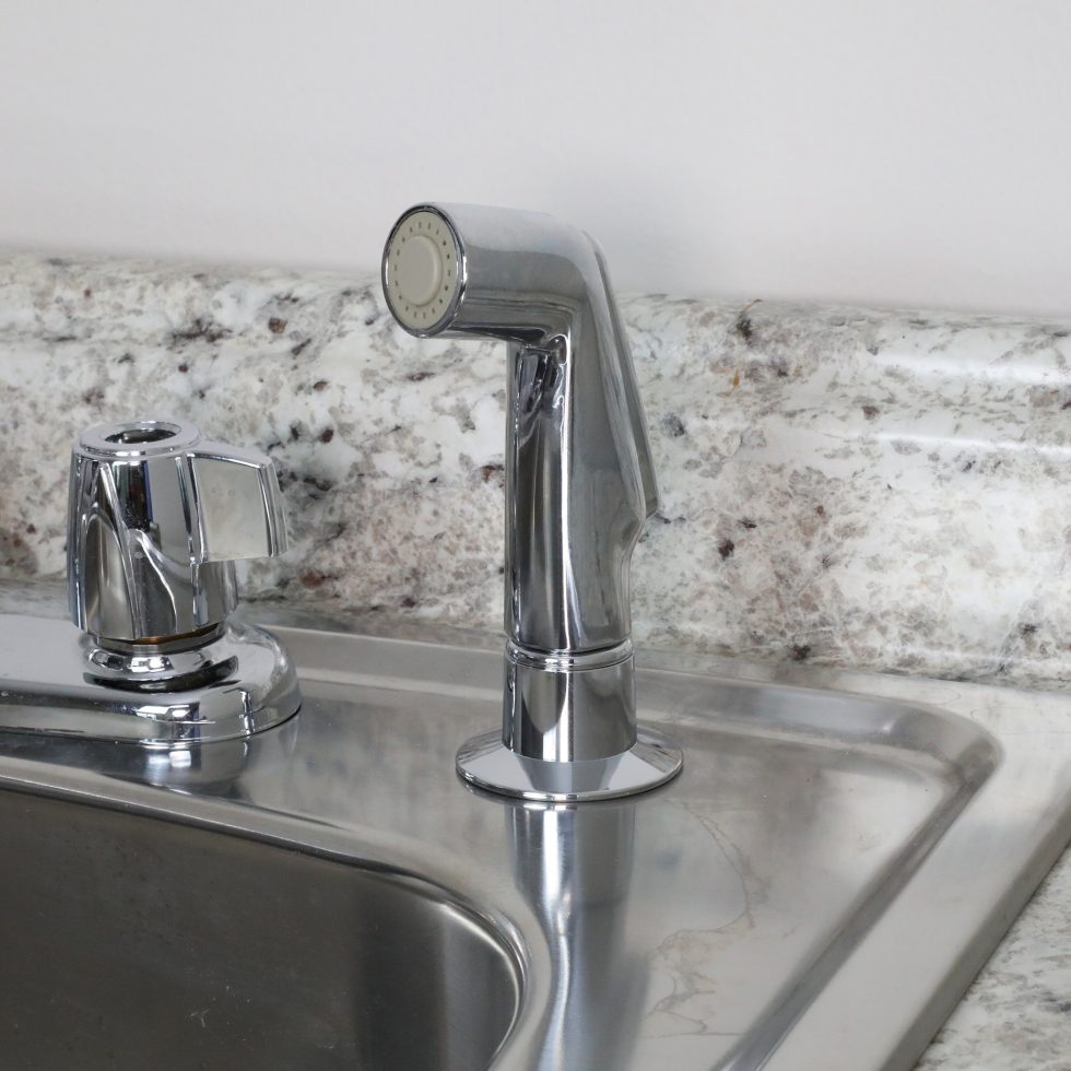 Kitchen Sink Spray Hose & Head in Chrome Danco