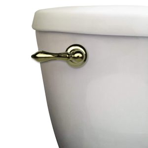 Universal Decorative Toilet Handle in Polished Brass