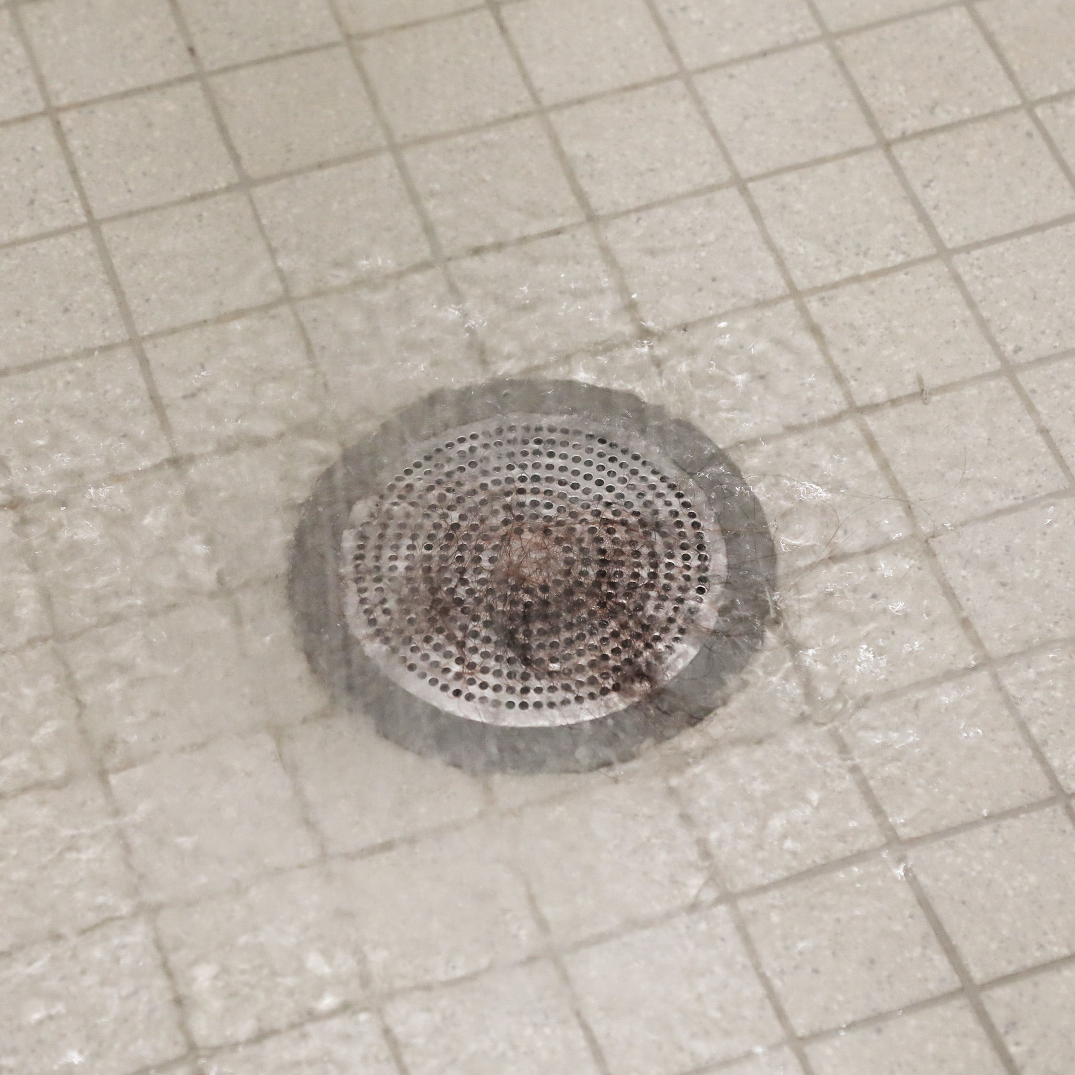 https://www.danco.com/wp-content/uploads/2017/10/Shower_Strainer5.jpg