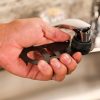 Multi-Use Faucet Aerator Key Tool for Aerator Removal