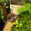 Water Wigot Garden and Lawn Water Spigot Extender