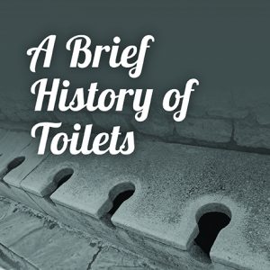 A Brief History of Toilets