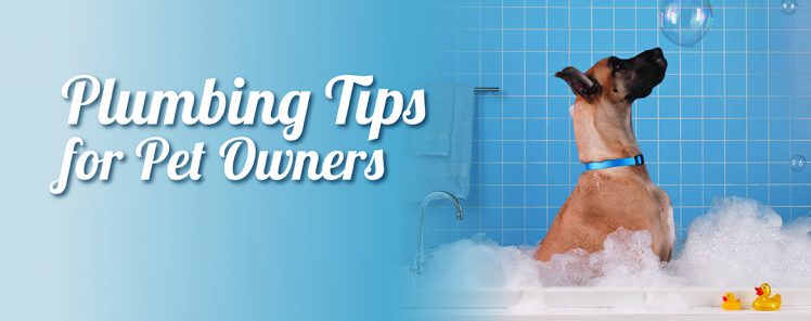 Plumbing Tips for Pet Owners Plumbing Tips for Pet Owners