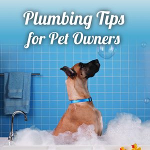 Plumbing Tips for Pet Owners