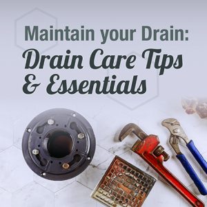 Maintain Your Drain: Drain Care Tips & Essentials