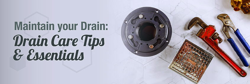 Maintain Your Drain: Drain Care Tips & Essentials Maintain Your Drain: Drain Care Tips & Essentials