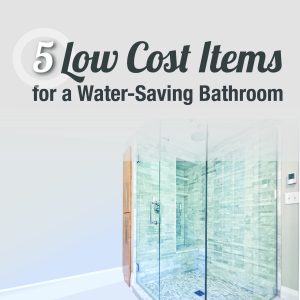 Press Release: 5 Low Cost Items for a Water-Saving Bathroom