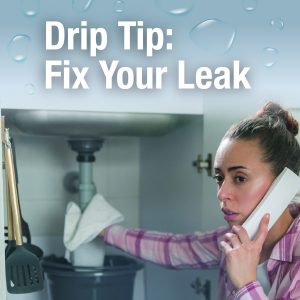 Drip Tip: Fix Your Leak (Repairing Your Leaky Faucet)