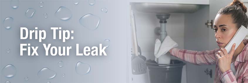 Drip Tip: Fix Your Leak (Repairing Your Leaky Faucet) Drip Tip: Fix Your Leak (Repairing Your Leaky Faucet)