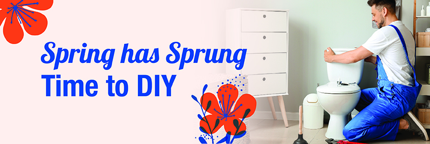 Spring has Sprung-Time to DIY Spring has Sprung-Time to DIY