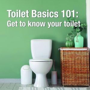 Toilet Basics 101: Get to know your toilet