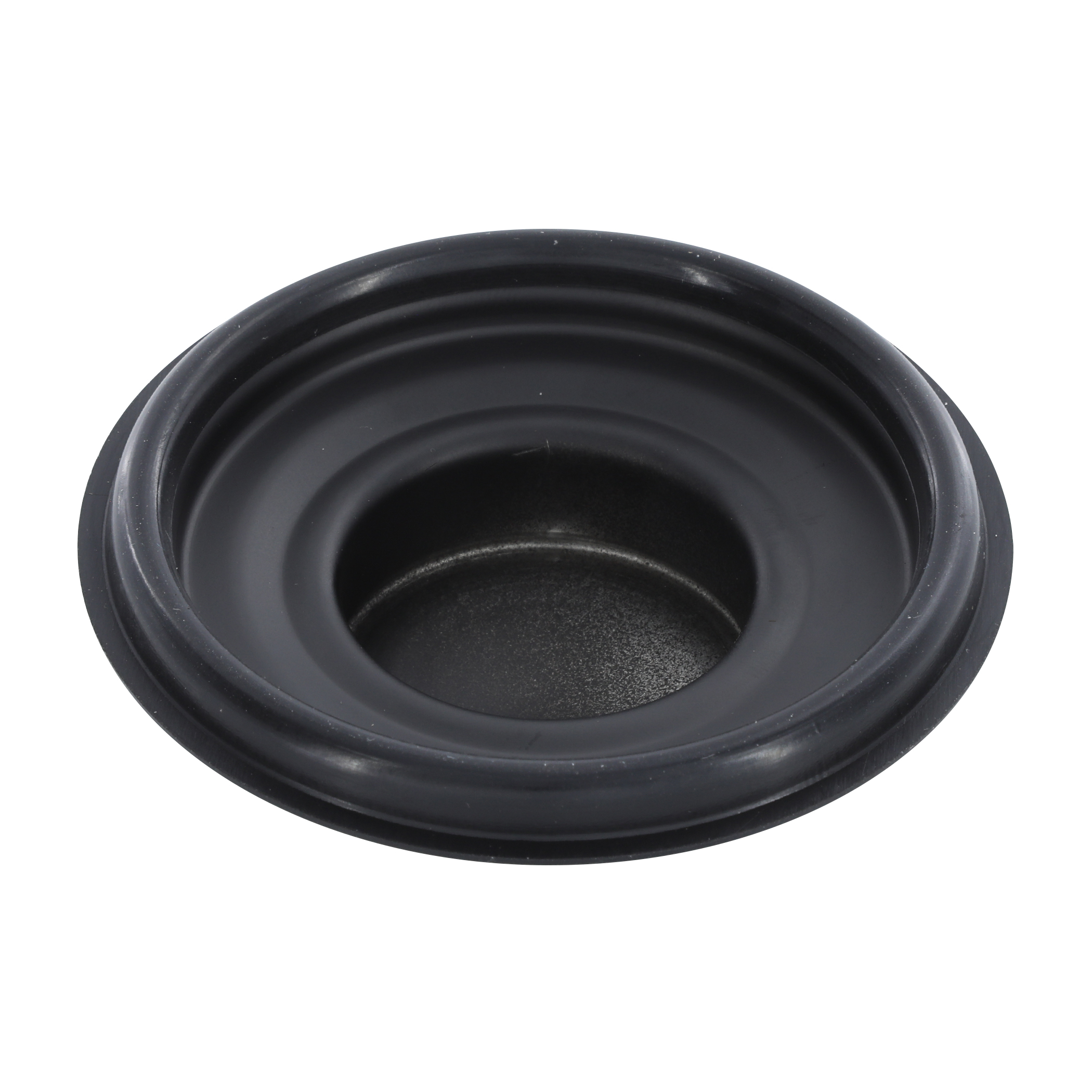Kitchen Garbage Disposal Drain Stopper in Matte Black - Danco