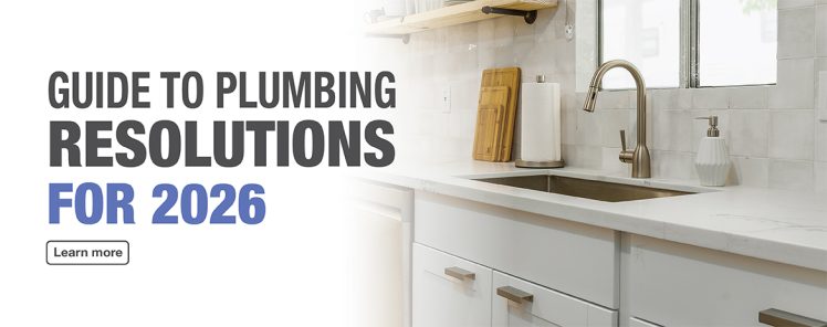 Guide to DIY Plumbing Resolutions for 2026