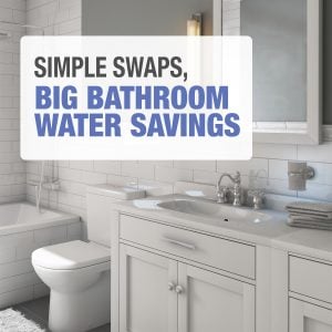 Simple Swaps, Instant Results: Water-Saving Plumbing Solutions for Your Bathroom