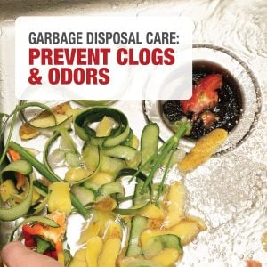 Garbage Disposal Maintenance Tips: Prevent Clogs, Odors & Costly Repairs